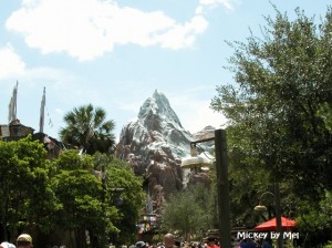 Expedition Everest – Legend of the Forbidden Mountain