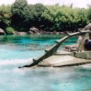Throwback Thursday: 20,000 Leagues Under the Sea
